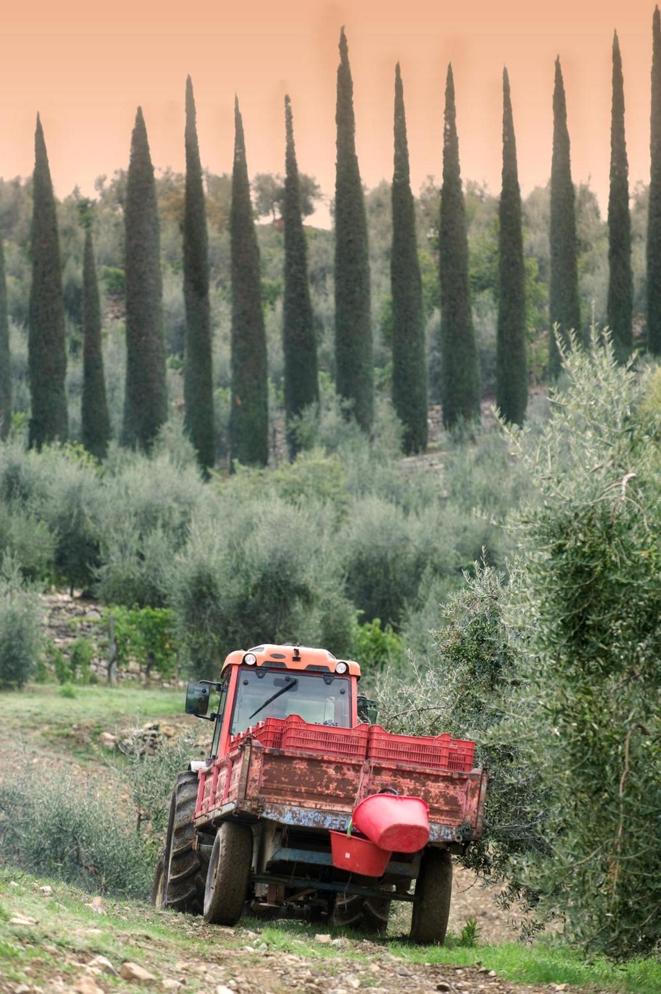 La Valletta Boutique Wine Estate Panzano in Chianti Exterior foto